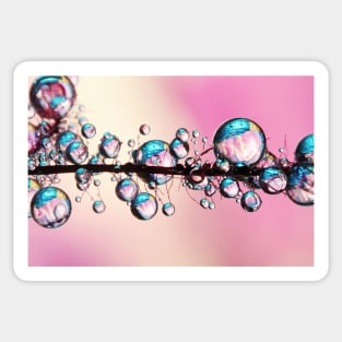 Pretty Pink Smokey Drops Sticker